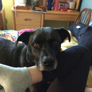 Meet your Posher, Tammy